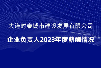 大連時泰城市建設(shè)發(fā)展有限公司 企業(yè)負責人2023年度薪酬情況